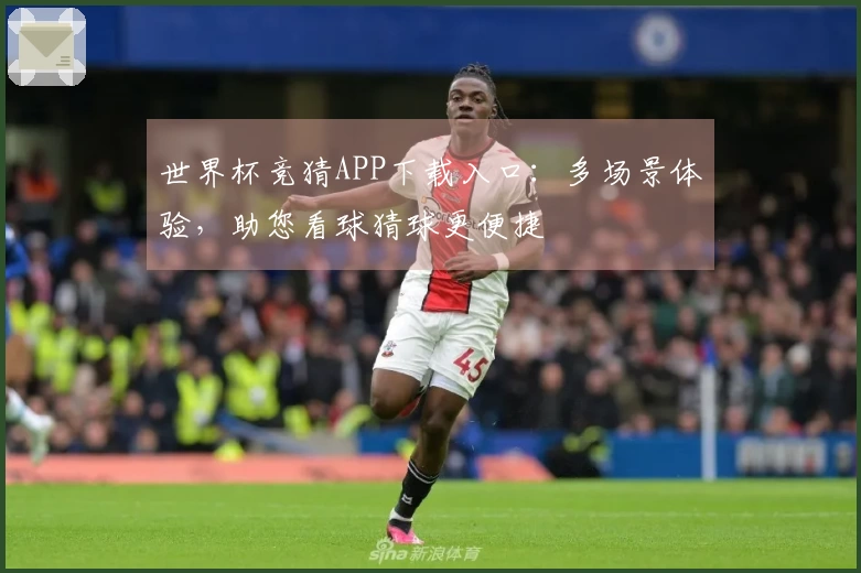 世界杯竞猜APP下载入口：多场景体验，助您看球猜球更便捷