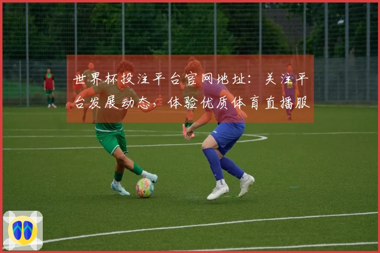 世界杯投注平台官网地址:关注平台发展动态,体验优质体育直播服务