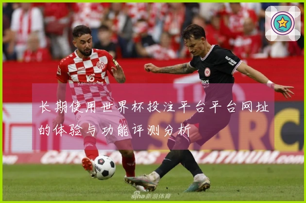 长期使用世界杯投注平台平台网址的体验与功能评测分析
