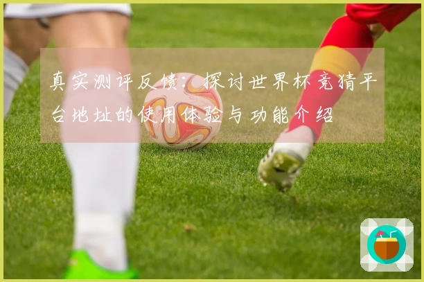 真实测评反馈:探讨世界杯竞猜平台地址的使用体验与功能介绍