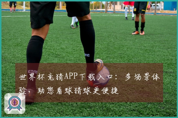 世界杯竞猜APP下载入口：多场景体验，助您看球猜球更便捷
