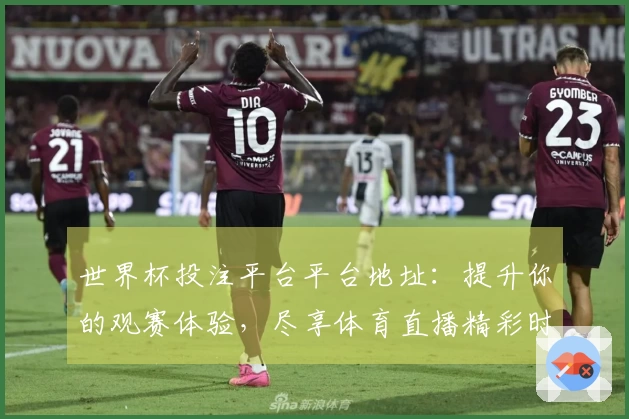 世界杯投注平台平台地址：提升你的观赛体验，尽享体育直播精彩时刻