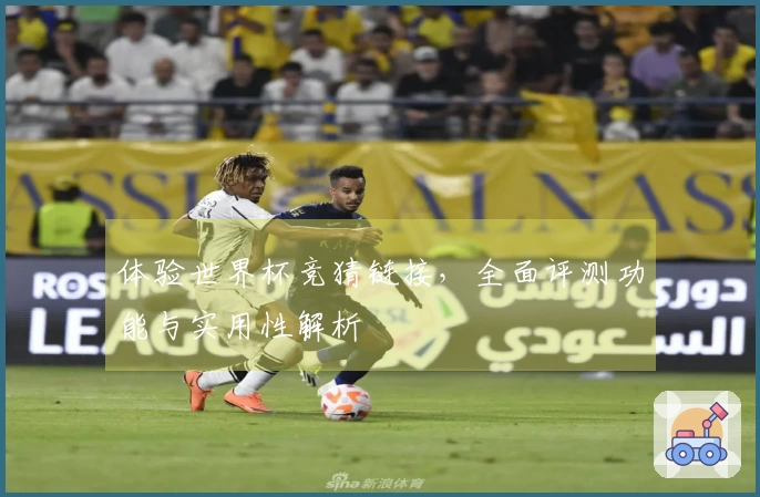 体验世界杯竞猜链接，全面评测功能与实用性解析