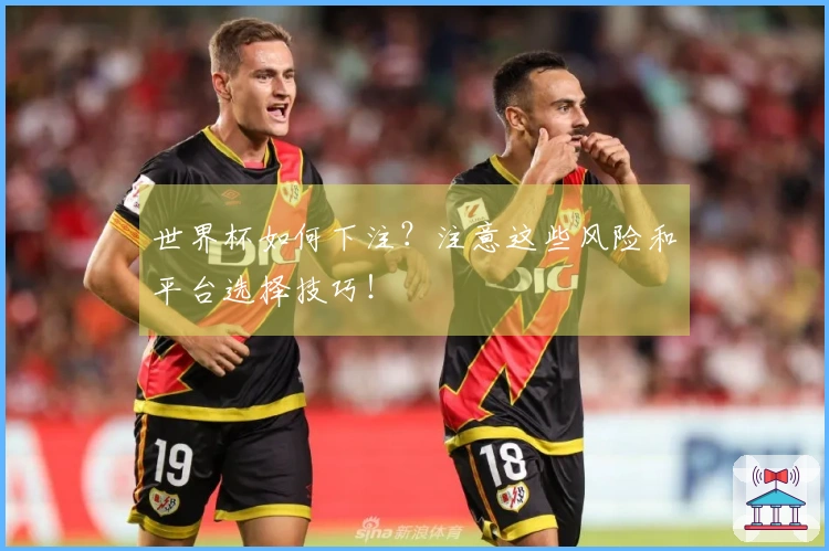 世界杯如何下注？注意这些风险和平台选择技巧！