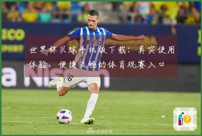 世界杯买球手机版下载：真实使用体验，便捷流畅的体育观赛入口