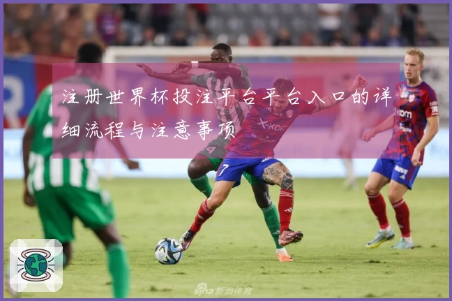 注册世界杯投注平台平台入口的详细流程与注意事项