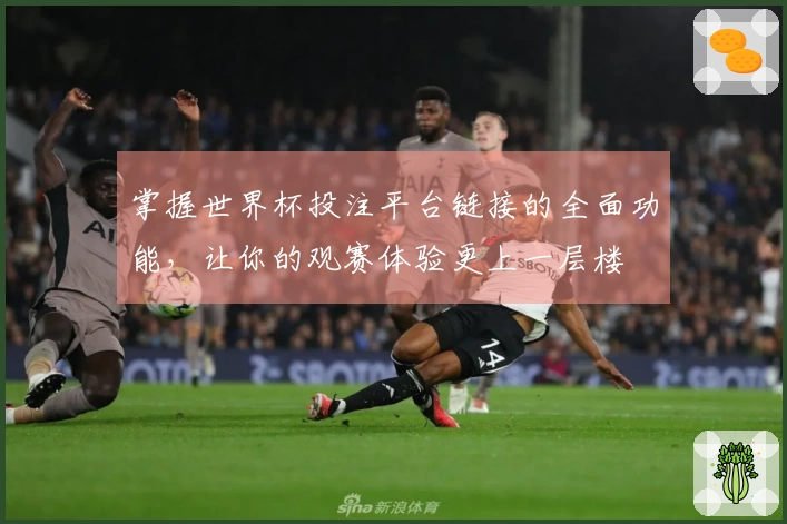 掌握世界杯投注平台链接的全面功能，让你的观赛体验更上一层楼