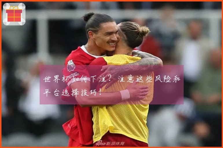 世界杯如何下注?注意这些风险和平台选择技巧!