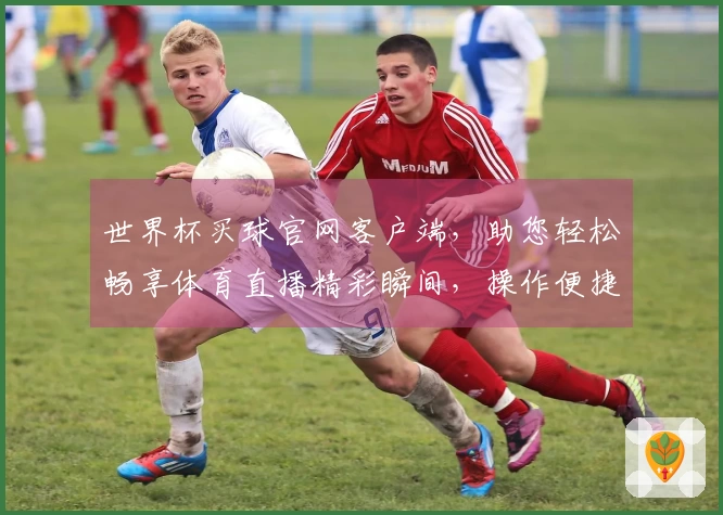 世界杯买球官网客户端，助您轻松畅享体育直播精彩瞬间，操作便捷体验升级。